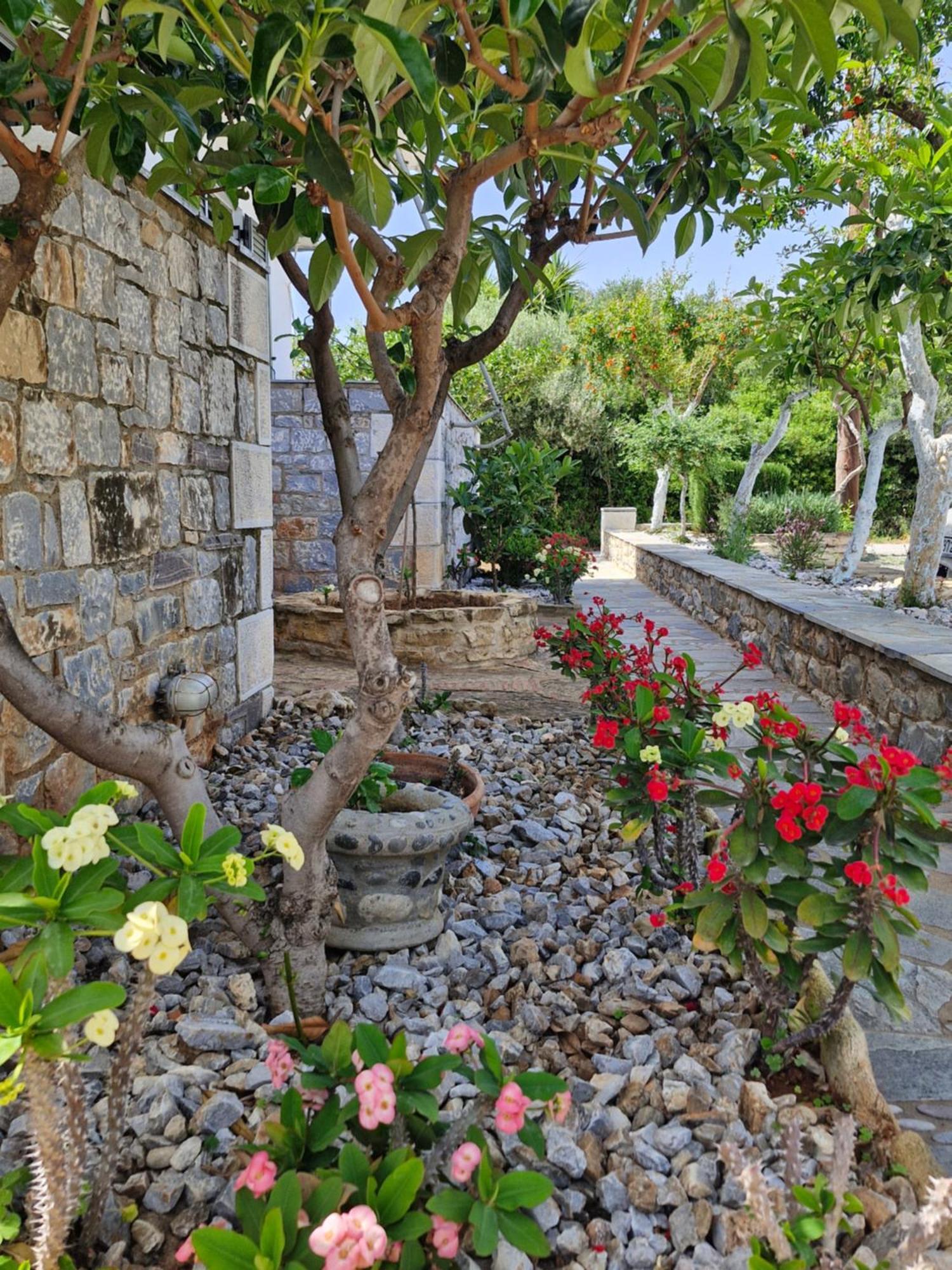 Anna Maria דירה אגיוס ניקולאוס